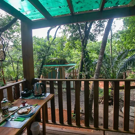 Alquimia Zen Iglus De Eucalipto Na Reserva Arua Praia do Forte Exterior photo