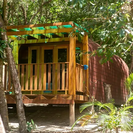 Alquimia Zen Iglus De Eucalipto Na Reserva Arua Praia do Forte Exterior photo