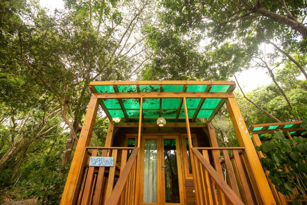 Alquimia Zen Iglus De Eucalipto Na Reserva Arua *