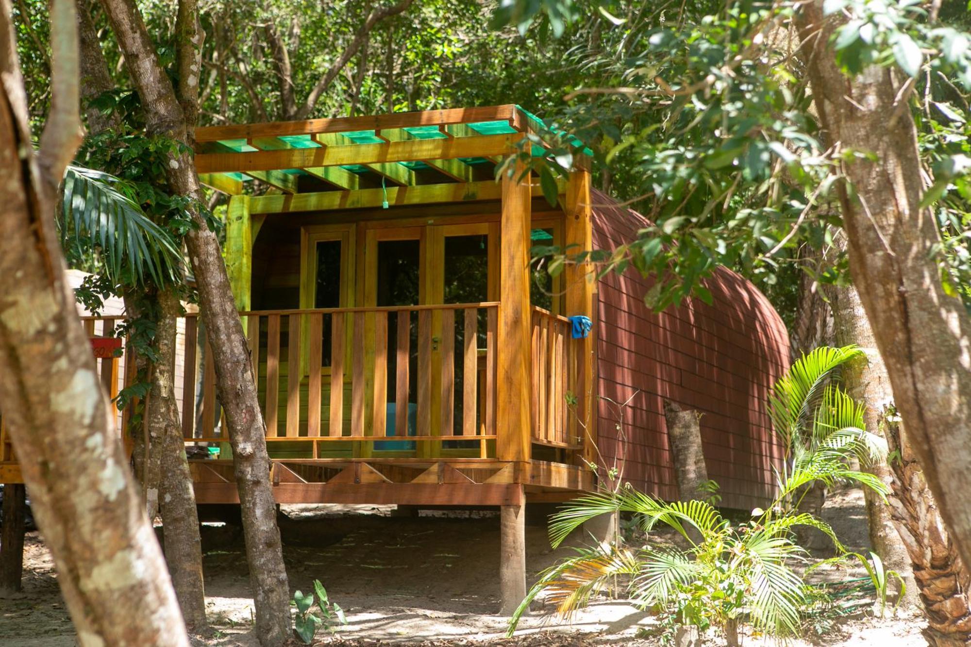Alquimia Zen Iglus De Eucalipto Na Reserva Arua *