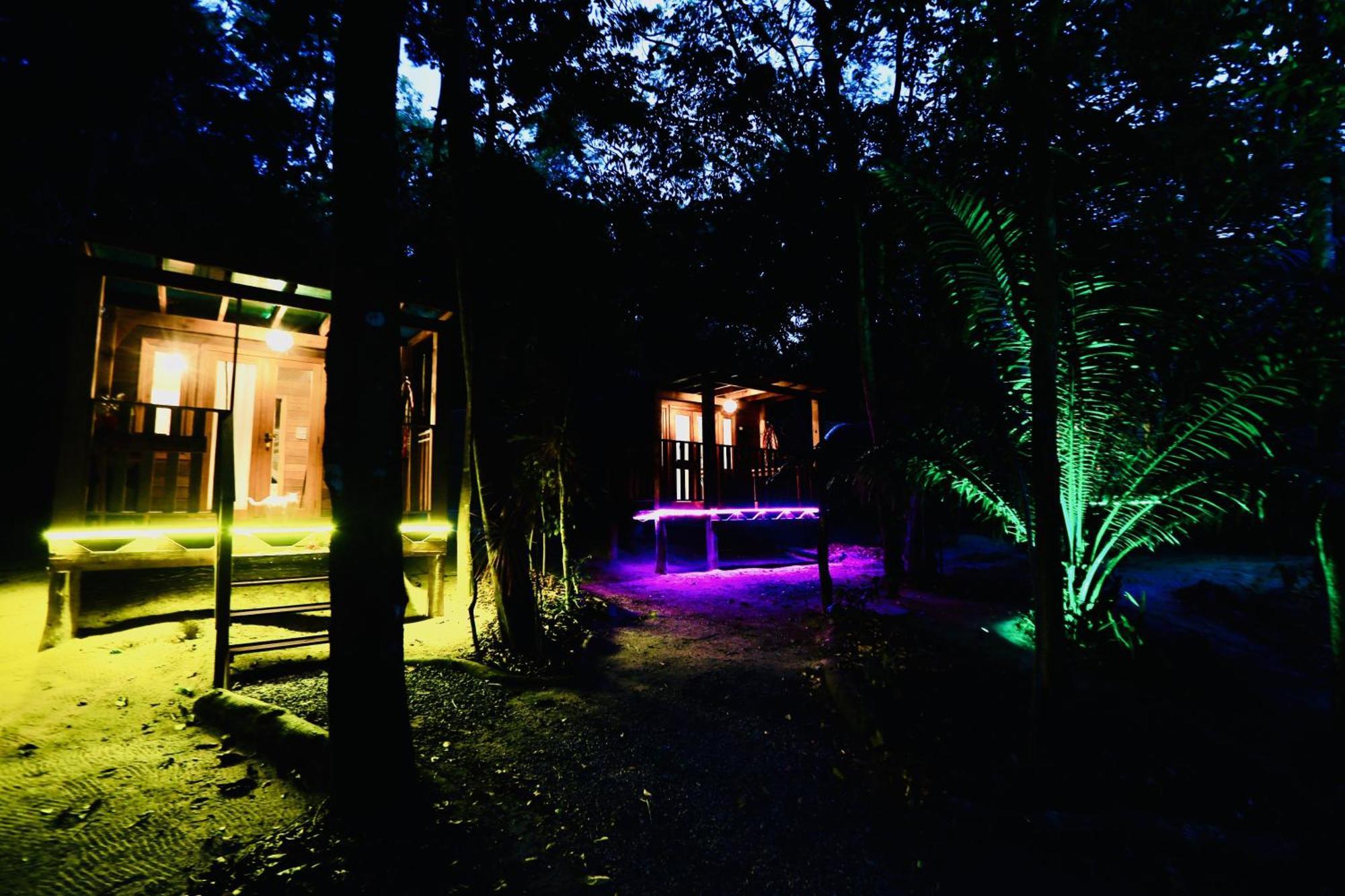 Alquimia Zen Iglus De Eucalipto Na Reserva Arua